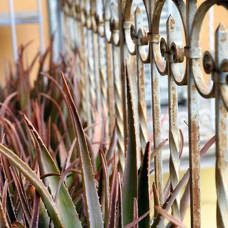 Antica - Downtown * קומו