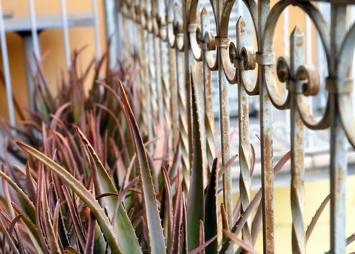 Antica - Downtown * קומו